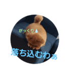 ポメりおちゃんのこんな日もあるよね、、（個別スタンプ：7）