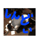 SDSチームスタンプバージョン2（個別スタンプ：32）