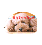レックアンドチーズ2（個別スタンプ：1）