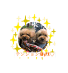レックアンドチーズ2（個別スタンプ：7）