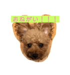 レックアンドチーズ2（個別スタンプ：9）