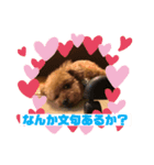 レックアンドチーズ2（個別スタンプ：11）