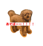 レックアンドチーズ2（個別スタンプ：12）
