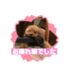レックアンドチーズ2（個別スタンプ：16）