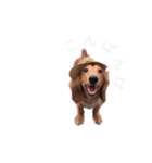 ご挨拶byぴんく君（個別スタンプ：2）