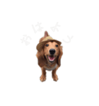 ご挨拶byぴんく君（個別スタンプ：3）
