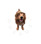 ご挨拶byぴんく君（個別スタンプ：4）
