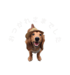 ご挨拶byぴんく君（個別スタンプ：5）