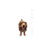 ご挨拶byぴんく君（個別スタンプ：6）