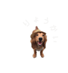 ご挨拶byぴんく君（個別スタンプ：7）