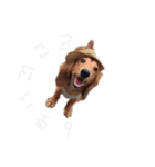 ご挨拶byぴんく君（個別スタンプ：12）