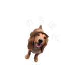 ご挨拶byぴんく君（個別スタンプ：13）