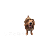 ご挨拶byぴんく君（個別スタンプ：15）