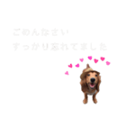 ご挨拶byぴんく君（個別スタンプ：16）