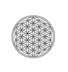 神聖幾何学（フラワー・オブ・ライフ）（個別スタンプ：4）