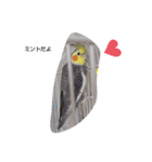 私のオカメインコちゃん（個別スタンプ：3）