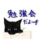 黒猫できる女のスタンプ（個別スタンプ：3）