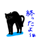 黒猫できる女のスタンプ（個別スタンプ：24）