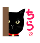 黒猫できる女のスタンプ（個別スタンプ：37）