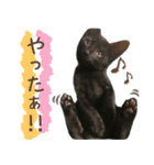 ◆黒猫◆はるくんの陽気な日常♪（個別スタンプ：2）