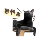 ◆黒猫◆はるくんの陽気な日常♪（個別スタンプ：4）