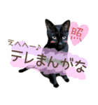 ◆黒猫◆はるくんの陽気な日常♪（個別スタンプ：8）