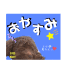 佐藤家_専用（個別スタンプ：4）