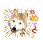 ちゃかのスタンプ（個別スタンプ：2）