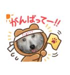 ちゃかのスタンプ（個別スタンプ：26）