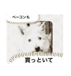ちゃかのスタンプ（個別スタンプ：30）