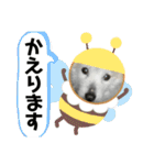 ちゃかのスタンプ（個別スタンプ：34）