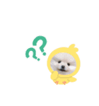 ♡ねりけちくん♡（個別スタンプ：3）