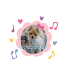 ♡ねりけちくん♡（個別スタンプ：11）