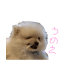 ♡ねりけちくん♡（個別スタンプ：13）