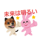 かわいすぎわんこ4（個別スタンプ：1）