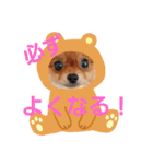 かわいすぎわんこ4（個別スタンプ：2）