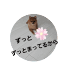 かわいすぎわんこ4（個別スタンプ：5）