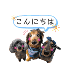 リルラちゃん2 by晩ママ（個別スタンプ：1）