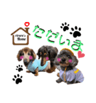 リルラちゃん2 by晩ママ（個別スタンプ：5）
