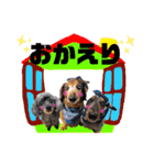 リルラちゃん2 by晩ママ（個別スタンプ：6）