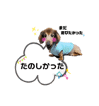 リルラちゃん2 by晩ママ（個別スタンプ：8）