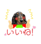 リルラちゃん2 by晩ママ（個別スタンプ：11）