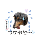 リルラちゃん2 by晩ママ（個別スタンプ：14）