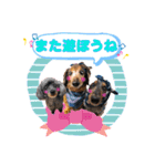 リルラちゃん2 by晩ママ（個別スタンプ：16）