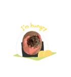 ちびハムちゃん4（個別スタンプ：1）