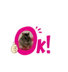 ちびハムちゃん4（個別スタンプ：14）