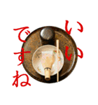 茶道greenteasticker（個別スタンプ：1）