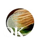 茶道greenteasticker（個別スタンプ：11）