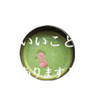 茶道greenteasticker（個別スタンプ：17）