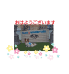 ぱぴぱぴパピヨン9（個別スタンプ：1）